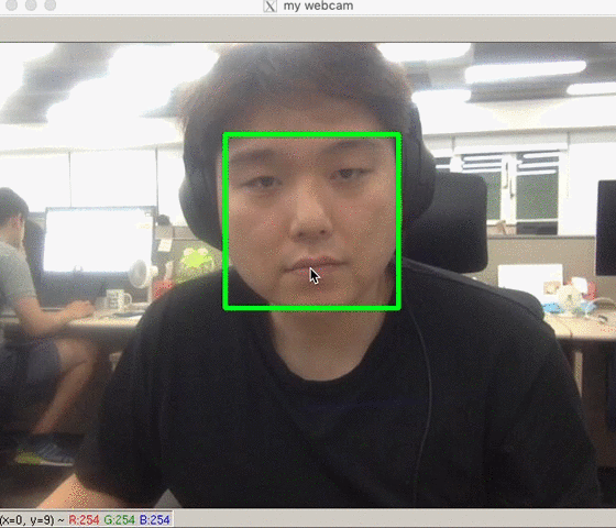 mac webcam test